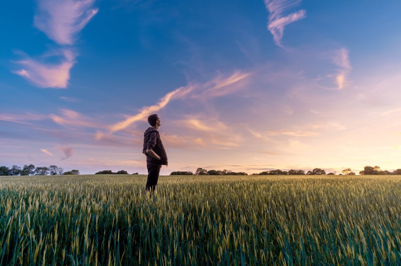 Person står i kornmark og kigger på solopgang - Person standing on cornfield and looking at the sunrise