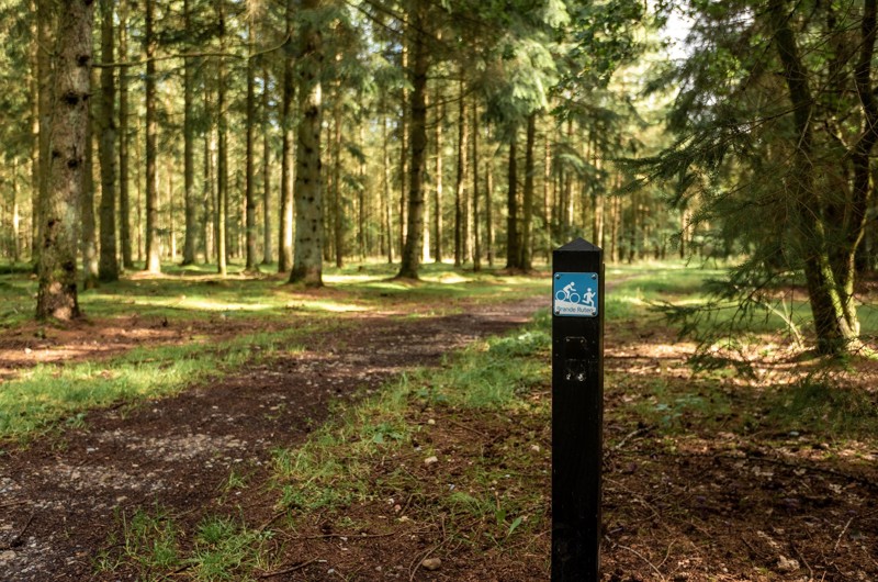 The Brande Route
